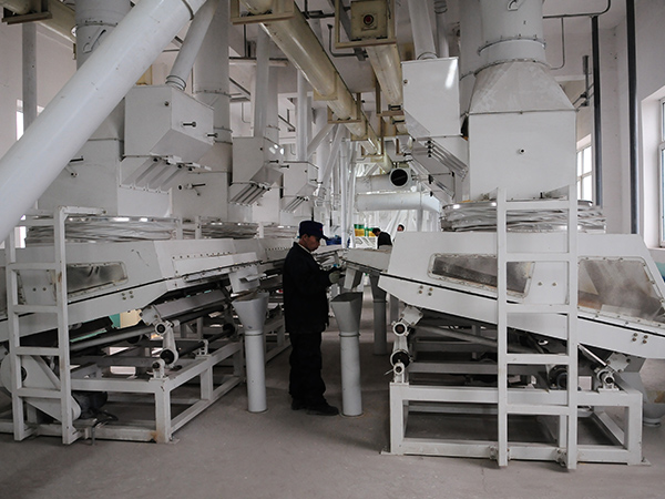 1T/Hour Maize Flour Milling Line Built in Mozambique