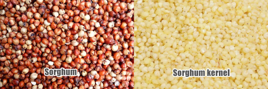 Sorghum Processing Plants FINISHED PRODUCTS
