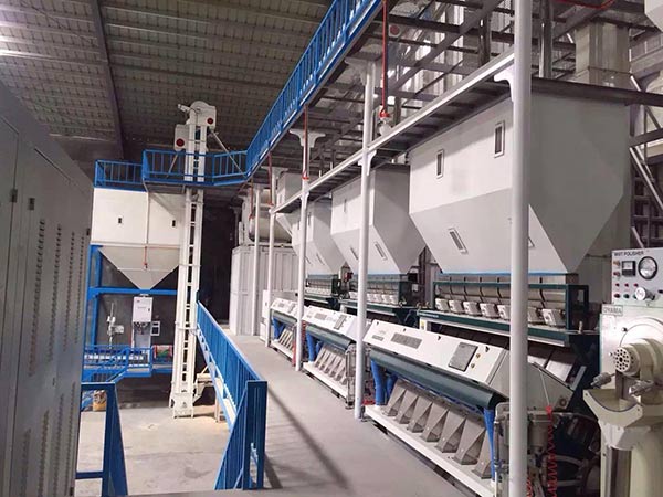 rice sorting machine