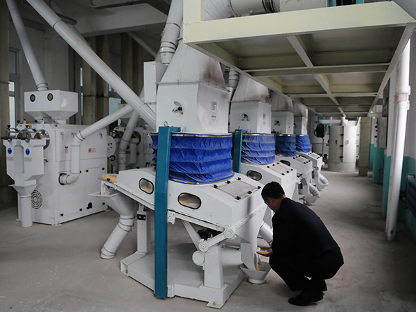 1T/Hour Maize Flour Milling Line Built in Mozambique