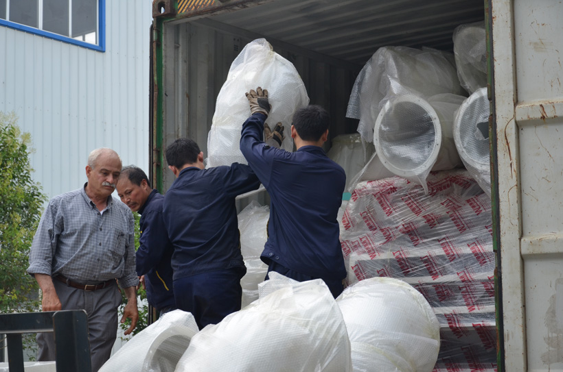 lentil processing plant delivery