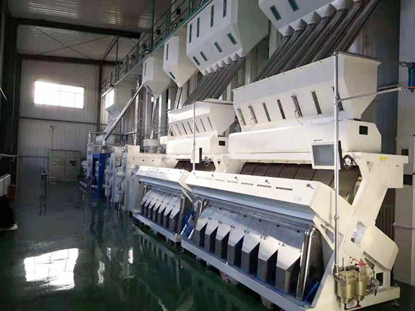 rice sorting machine