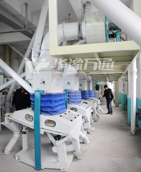 400TPD Semi-dry Maize Germ Extracting Line in Morocco