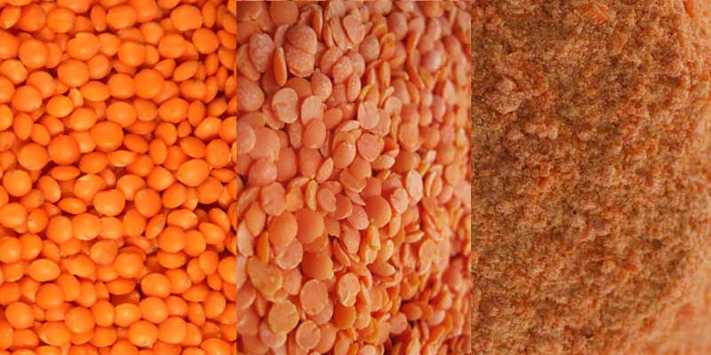 Lentil Processing Plant FINISHED PRODUCTS