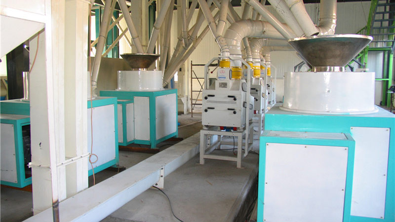 Buckwheat Processing Plant