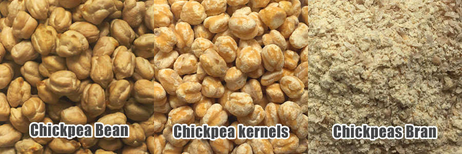 Chickpea