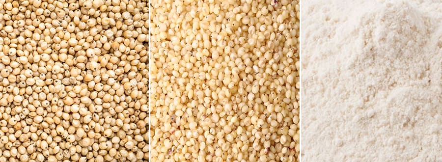 Sorghum Processing Plants