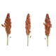 sorghum