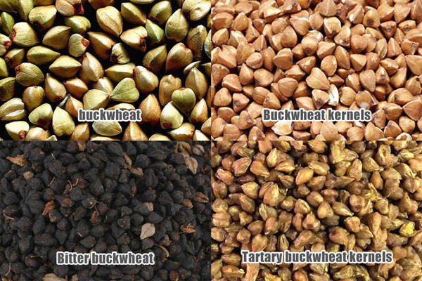 Buckwheat Processing Plant FINISHED PRODUCTS
