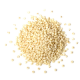 sorghum rice