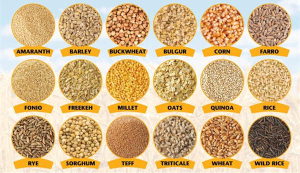 grains, rice, wheat, corn, sorghum, glutinous rice, beans