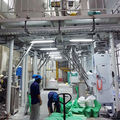 Mung Bean Processing Plant