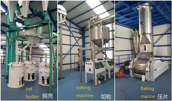 1T/Hour Oat Flakes Processing Line Built by Win Tone