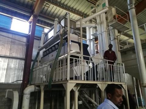 Ethiopia-120TPD Coffee Beans Cleaning Plant Installed