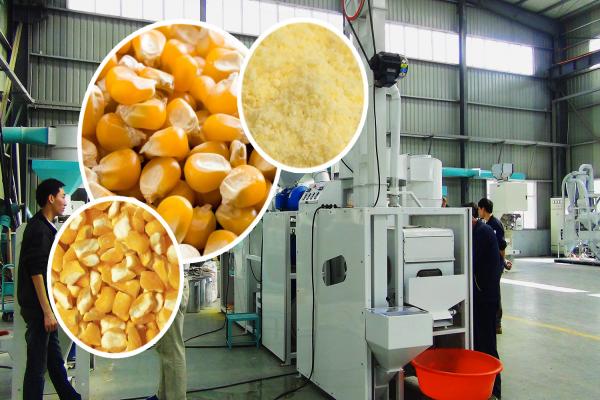 Corn Grinder Machine, Corn Grinder Machine price, Corn Grinder Machine for sale