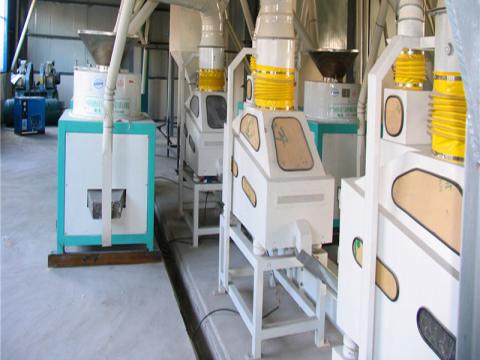 Buckwheat Processing Plant Installation