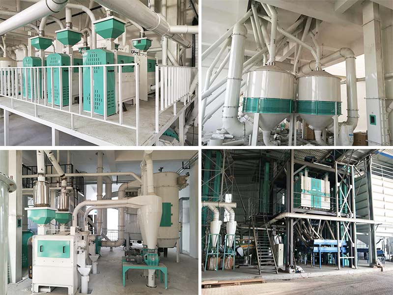 Trouble shooting for lentil processing equipment