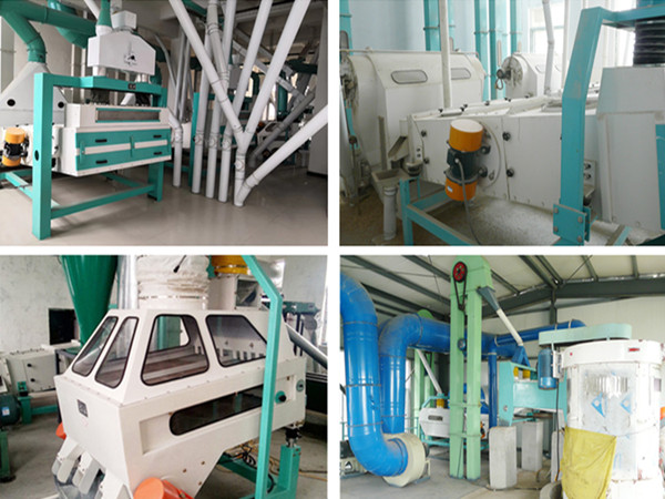 Wheat Flour Milling Plant