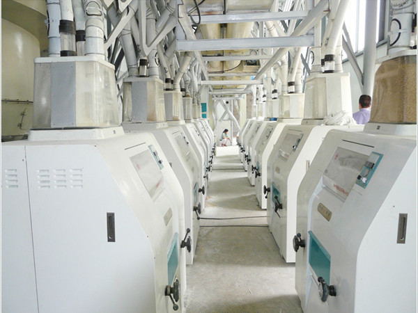 Wheat Flour Milling Plant