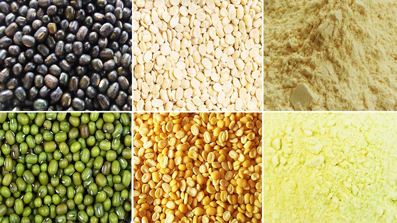 Black Gram丨Mung Bean Processing Plant FINISHED PRODUCTS