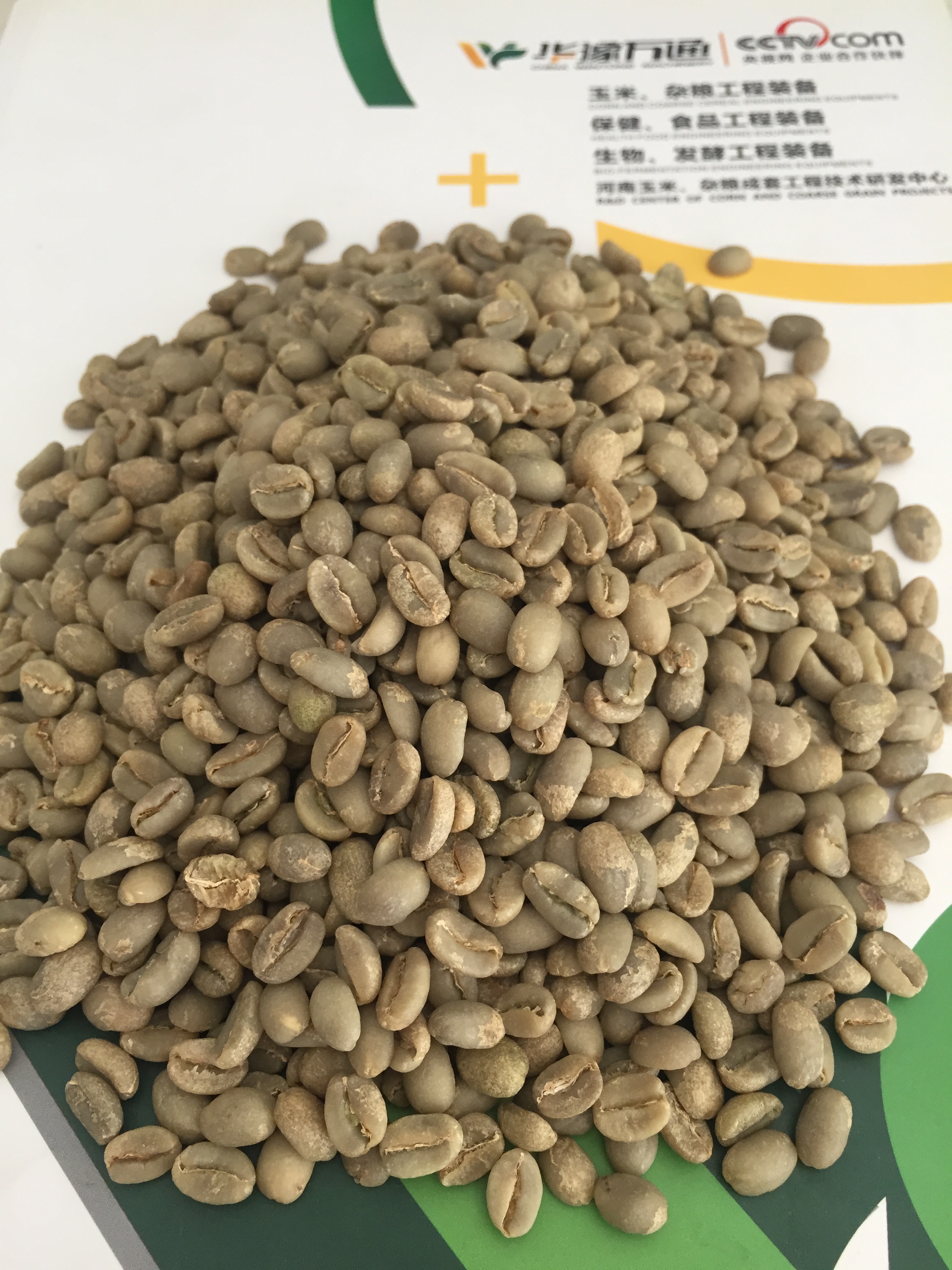 Proyecto de limpieza de granos de café