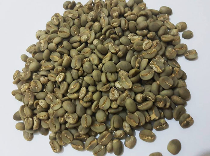Planta de procesamiento de granos de café verde