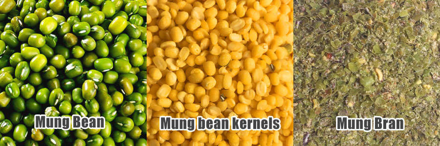 Green Bean, Mung Bean