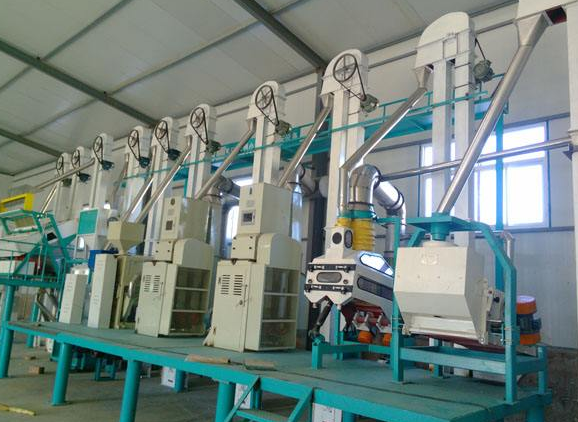 Rice Processing Machine