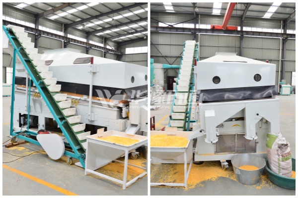 Specific Gravity Separator Processing Corn(Maize)