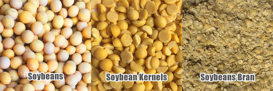 Soybean Processing Plant