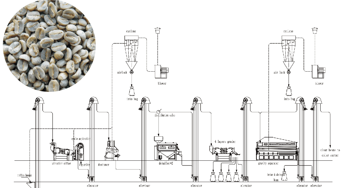 Máquinas de limpieza de granos de café
