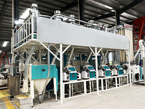 Maize Milling Plant