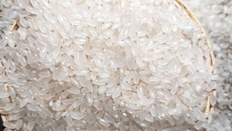 15 ton / día Molino de arroz