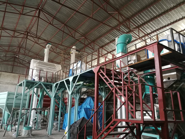 Coffee Beans Processing Plant