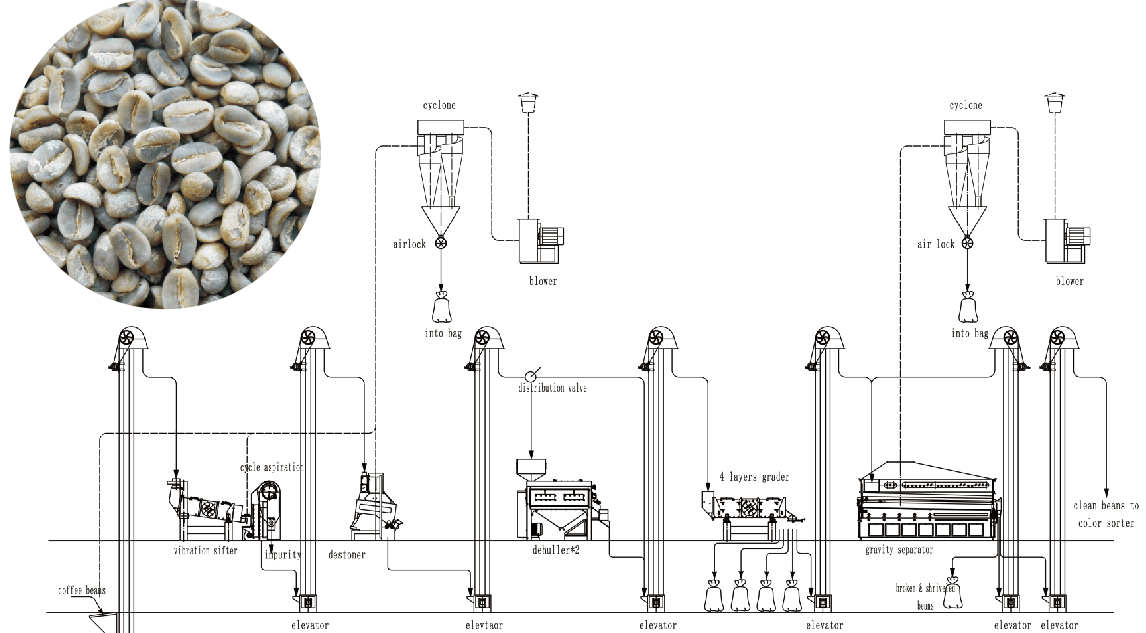 Proyecto de limpieza de granos de café