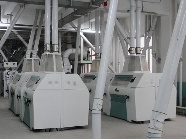 Proyecto de procesamiento de maíz 300T construido en Jilin Yuquan Miye Company