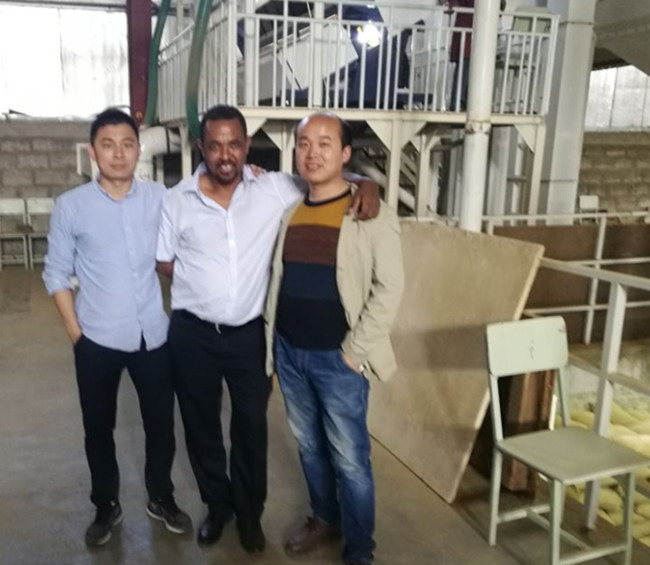 Instalación de la línea de limpieza de granos de café de Etiopía
