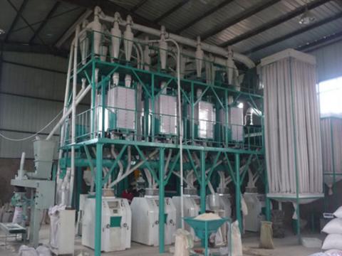 How to improve the efficiency of corn processing equipment