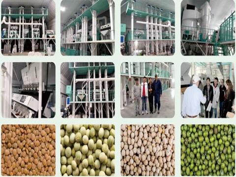 Export to the U.S.- Win Tone 5T/H Seeds Cleaning Line