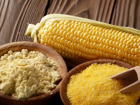 Application of Maize processing in sugar industry
