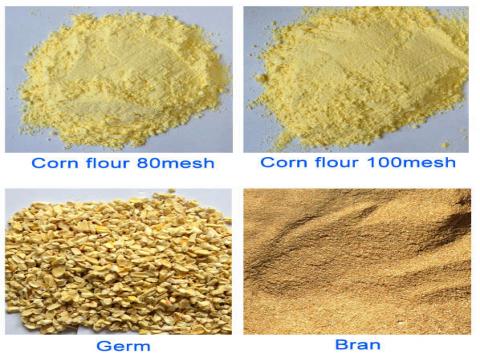 Too wet corn kernels can easily cause blockage during processing